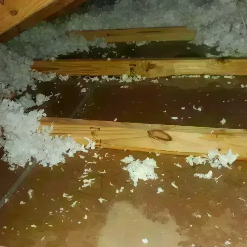 Attic Water Damage in Laytonville, CA